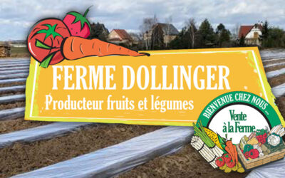 La Ferme DOLLINGER